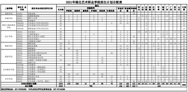 一本艺术专业湖北招生计划（一本艺术专业湖北招生计划是多少）