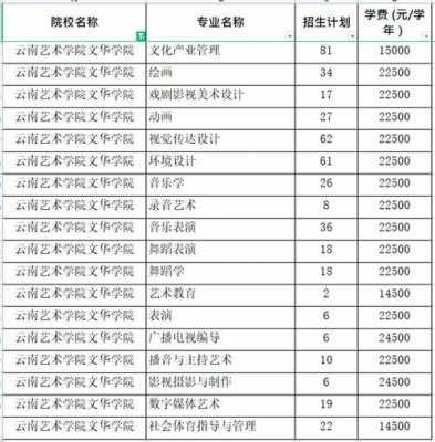 云南艺术学院外省招生计划（云南艺术学院文华学院2023招生计划）