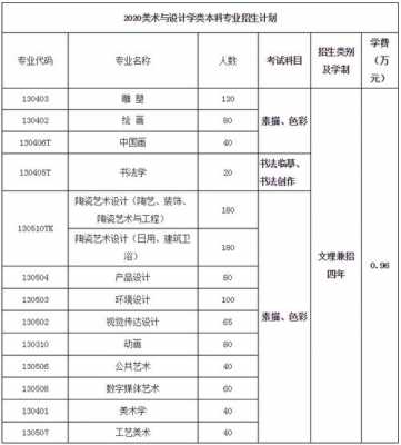 江西省艺术类专业招生计划（江西省艺校招生简章）