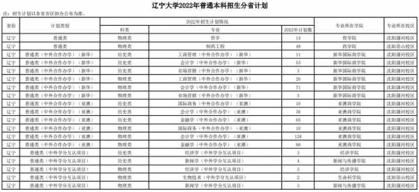 中外合作办学辽宁招生计划（辽宁高考中外合作办学）