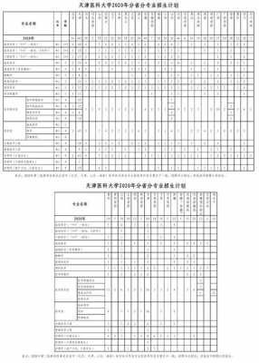 高校在津招生计划（高校在津招生计划怎么填）