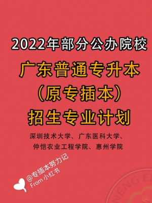 2016广东高校招生计划（广东高校专插本招生计划）