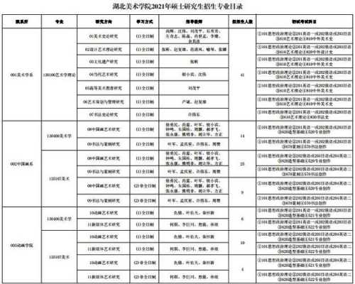 2o7湖北美院招生计划（八大美院招生计划）