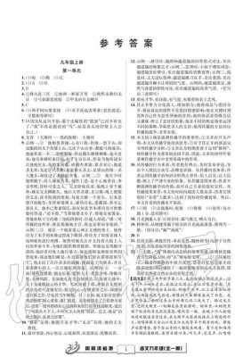 试题优化九上语文答案 （试题优化九上语文答案）