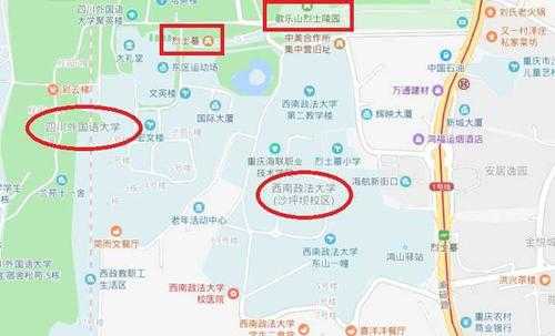 西南政法大学地址查询（西南政法大学学校地址）