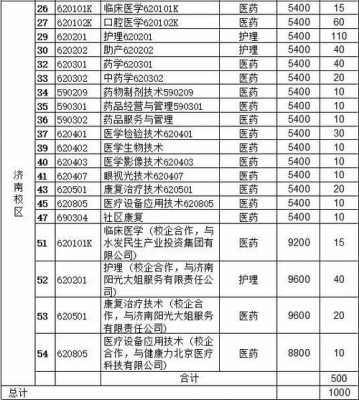 山东医专2019招生计划（山东医专2020招生人数）