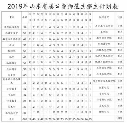 山东师范招生计划2019（山东师范空乘招生计划）