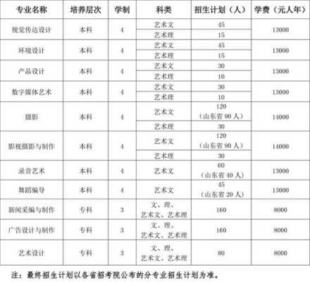 济南大学美术招生计划（济南大学春季高考招生计划）