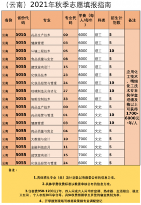 金煤化工招生计划（重庆化工职业学院招生计划）