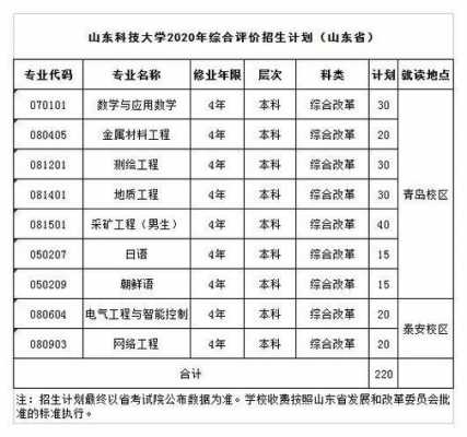 山东省科技大学招生计划（山东科技大学2020山东招生计划）