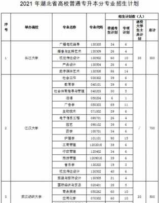 湖北专升本分专业招生计划（湖北专升本招生计划什么时候发布）