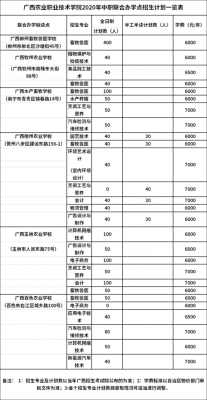 广西招生计划日表（广西招生计划表最新）