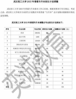 武汉轻工大学美术招生计划（武汉轻工大学艺术类招生计划）