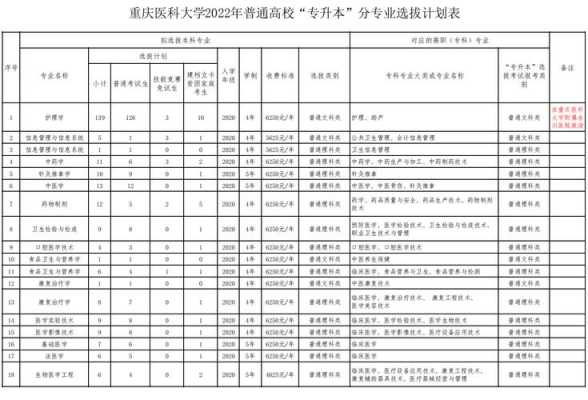 重庆各高校招生计划公布（2022年各高校在重庆招生计划）