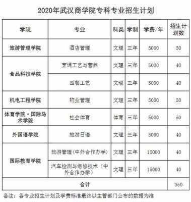 武汉学院2016招生计划（武汉学院招生章程2020）