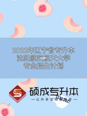 北京航天航空招生计划（沈阳航天航空大学2022年招生计划）