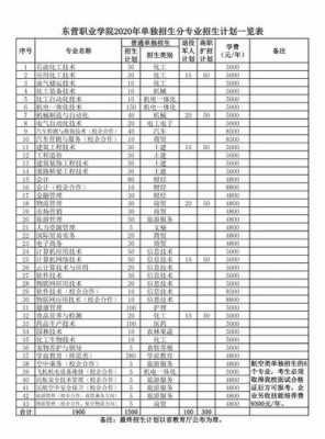 单招山东省招生计划（东营职业学院单招2023招生计划）