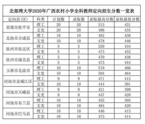 北部湾大学今年招生计划表（北部湾大学今年招生计划表图片）