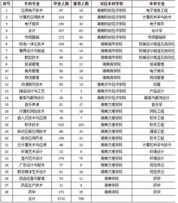 湖南国际本科院校招生计划（湖南国际教育学院）