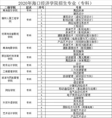 海口经济学院专科招生计划（海口经济学院2021年招生简章）